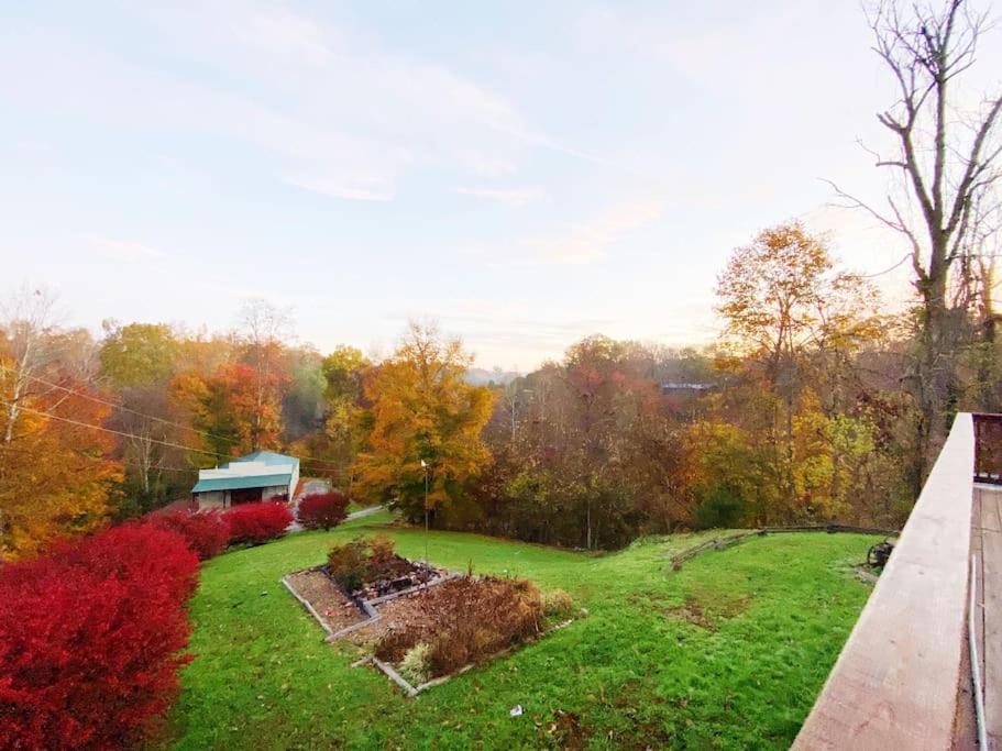 Dog Friendly! Views! Hot Tub! Close To Pf! Gsmnp Sevierville Exterior foto